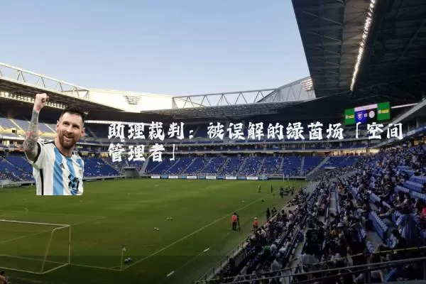 助理裁判:被误解的绿茵场「空间管理者」